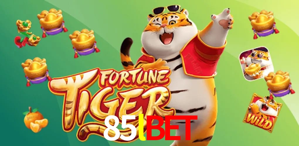 Bonus Features 85lbet